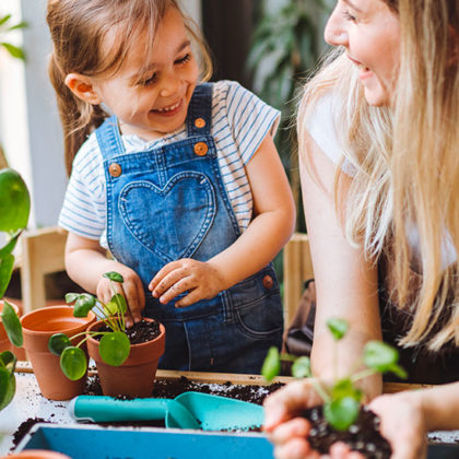 Qu'est ce que le marcottage, la technique infaillible pour multiplier ses plantes ?