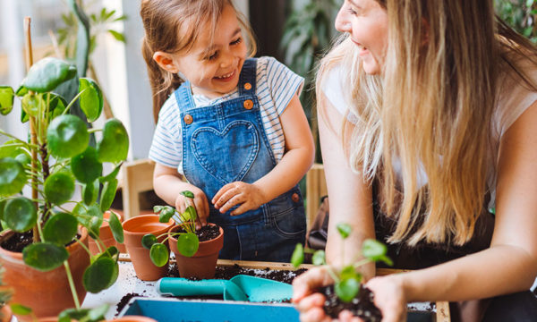 Qu'est ce que le marcottage, la technique infaillible pour multiplier ses plantes ?