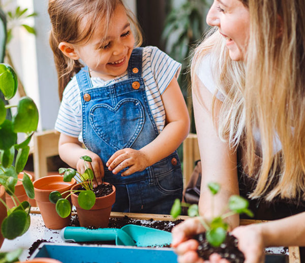 Qu'est ce que le marcottage, la technique infaillible pour multiplier ses plantes ?