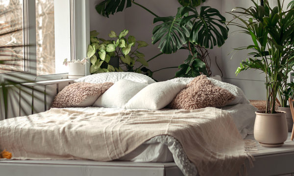 Comment créer un jardin d'hiver chez soi quand on vit en appartement ?