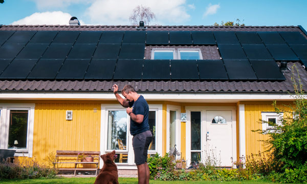 Panneaux solaires : découvrez l'offre la plus fiable et accessible du marché