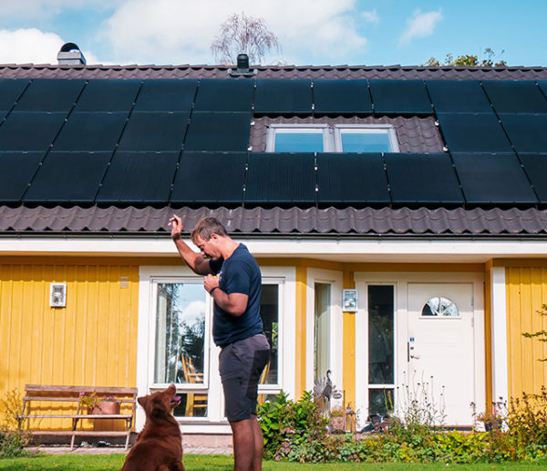 Panneaux solaires : découvrez l'offre la plus fiable et accessible du marché