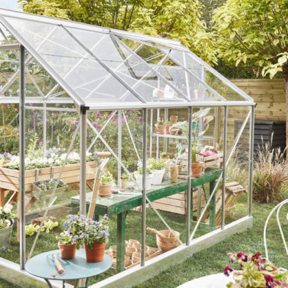 Culture sous serre : nos 6 conseils pour réussir vos plants et récoltes