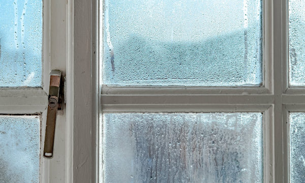 5 astuces pour éradiquer naturellement l'humidité dans sa maison