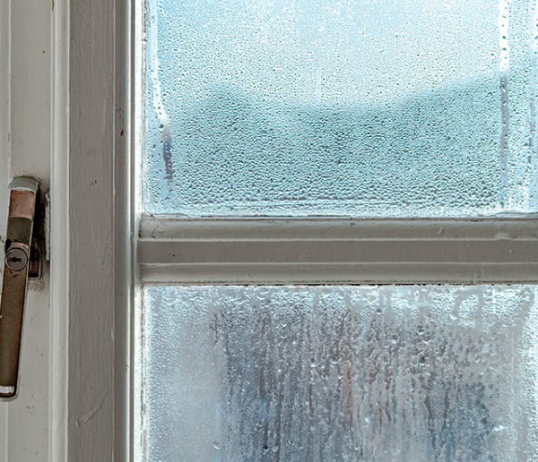 5 astuces pour éradiquer naturellement l'humidité dans sa maison