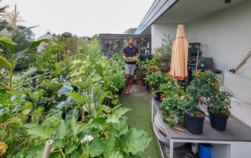 Les 10 erreurs à éviter pour un beau potager - Promesse de Fleurs