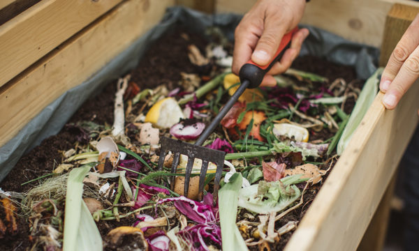 Apprenez à recycler vos déchets organiques avec les ateliers 