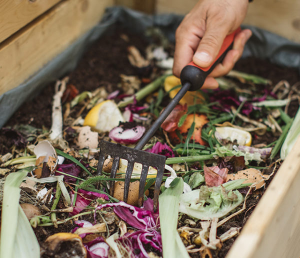 Apprenez à recycler vos déchets organiques avec les ateliers 