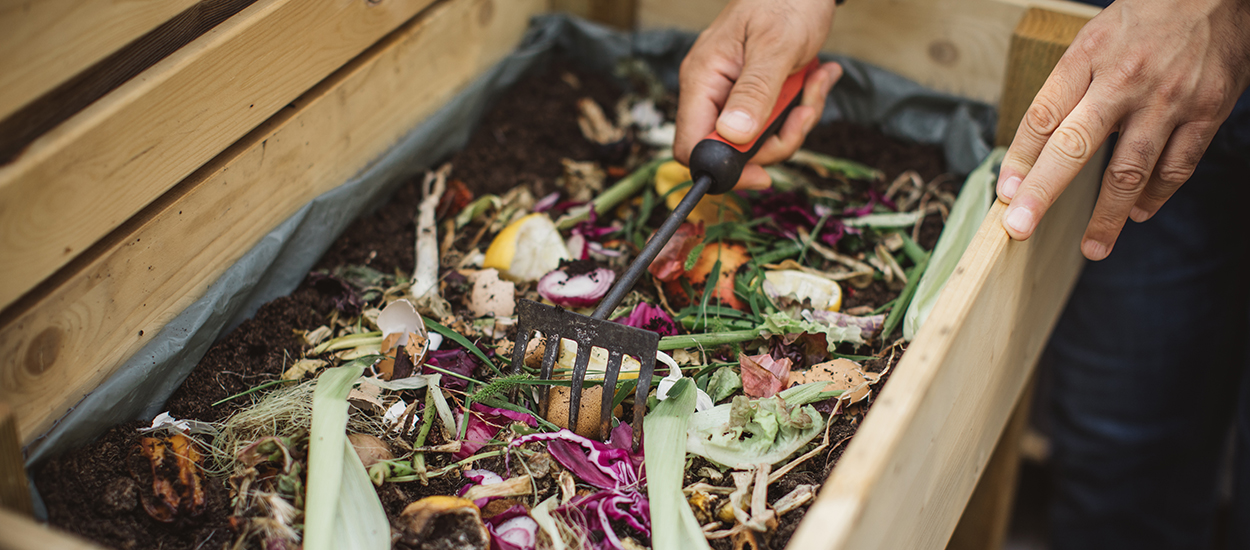 Apprenez à recycler vos déchets organiques avec les ateliers 