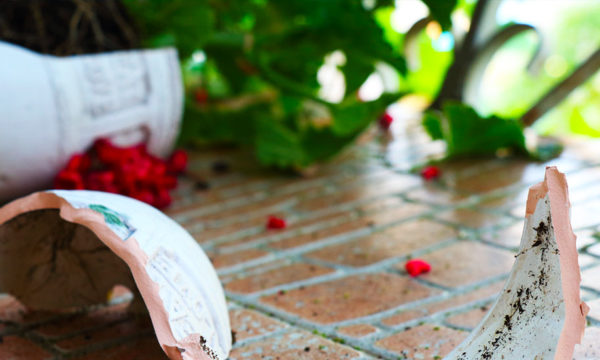 Vent et pluie : comment empêcher les plantes de son balcon de tomber ?