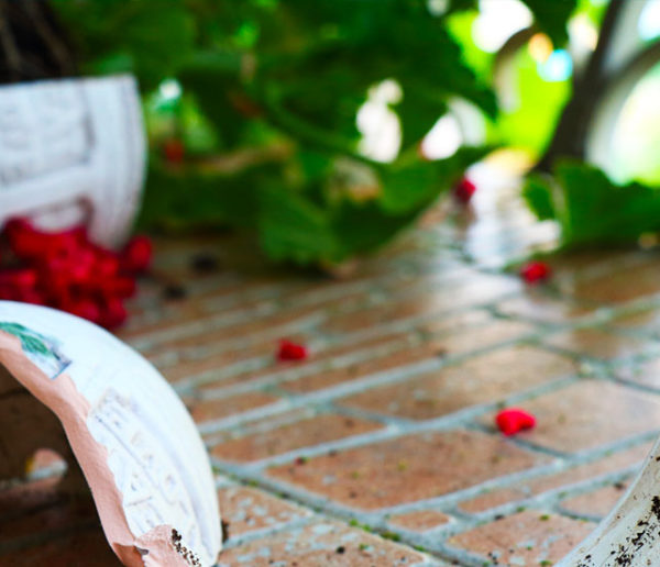 Vent et pluie : comment empêcher les plantes de son balcon de tomber ?