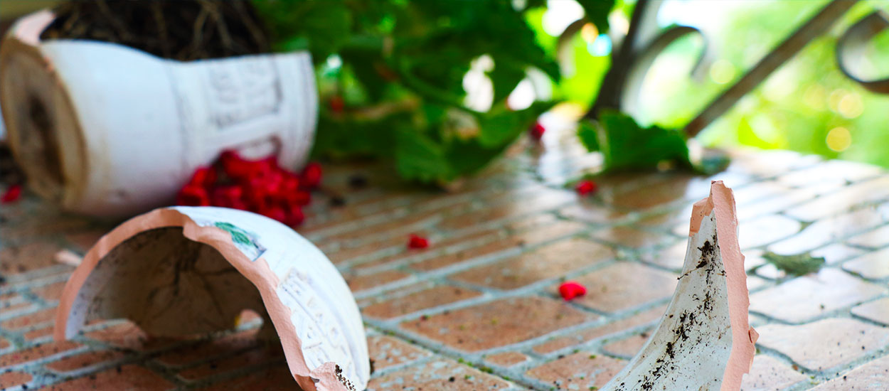 Vent et pluie : comment empêcher les plantes de son balcon de tomber ?