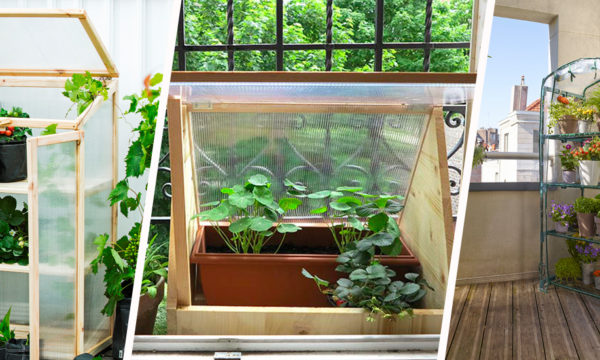 5 idées pour faire une mini-serre à semis sur un balcon