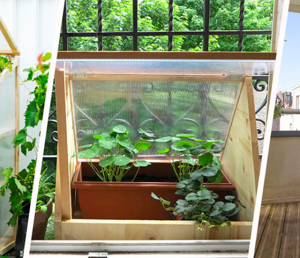 6 idées pour faire une mini-serre à semis sur un balcon