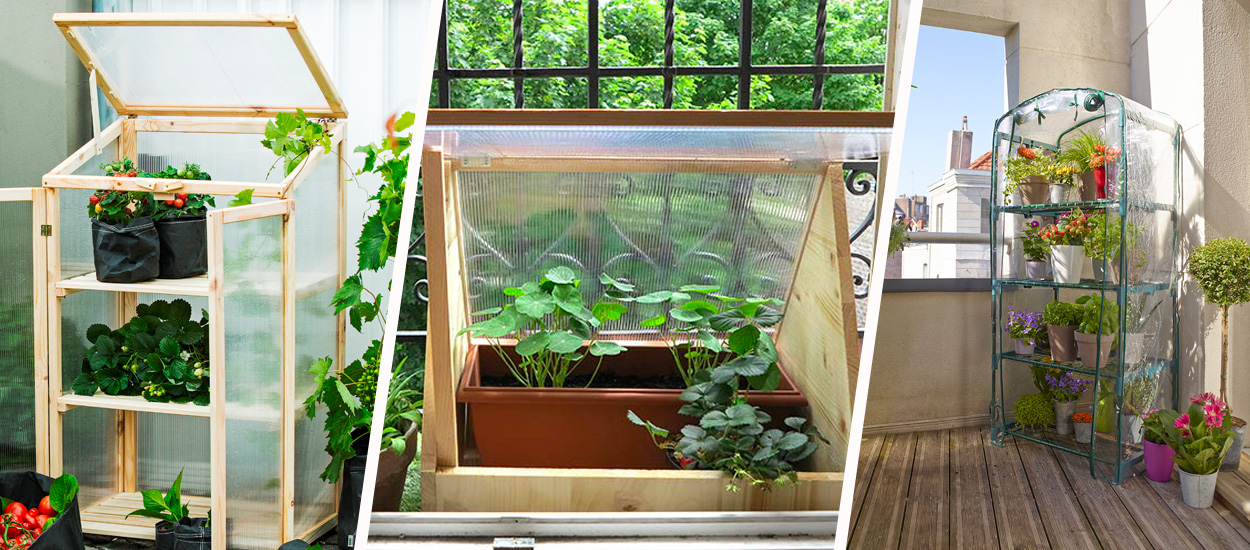 5 idées pour faire une mini-serre à semis sur un balcon