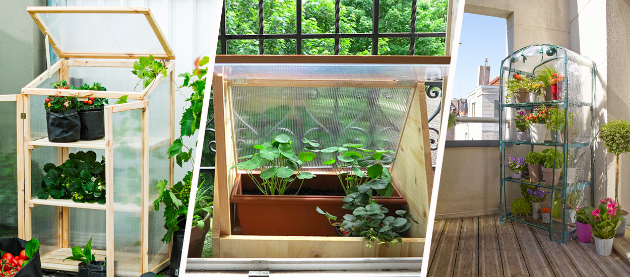 6 idées pour faire une mini-serre à semis sur un balcon