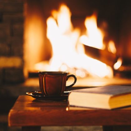 Quelle est la meilleure essence de bois pour se chauffer ?