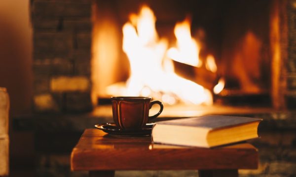 Quelle est la meilleure essence de bois pour se chauffer ?
