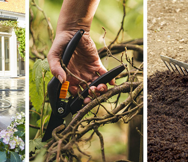 Comment préparer son jardin à l'arrivée du printemps ?