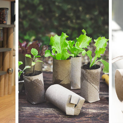 7 astuces DIY pour recycler vos rouleaux de papier toilette et d'essuie-tout