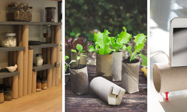7 astuces : recycler vos rouleaux de papier toilette et d'essuie-tout
