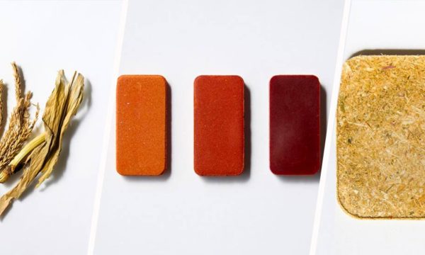 Deux chercheurs japonais ont inventé un ciment comestible !