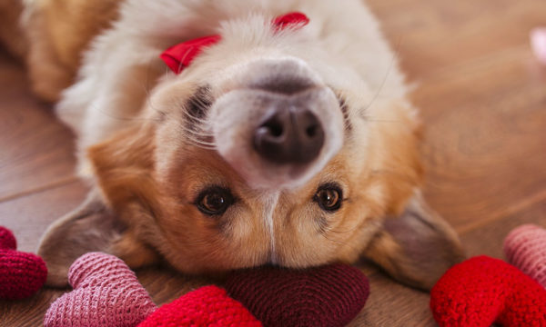 10 idées de cadeaux à moins de 40 euros à offrir à votre moitié pour la Saint-Valentin