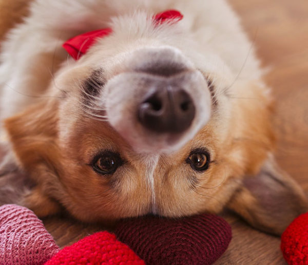 10 idées de cadeaux à moins de 40 euros à offrir à votre moitié pour la Saint-Valentin