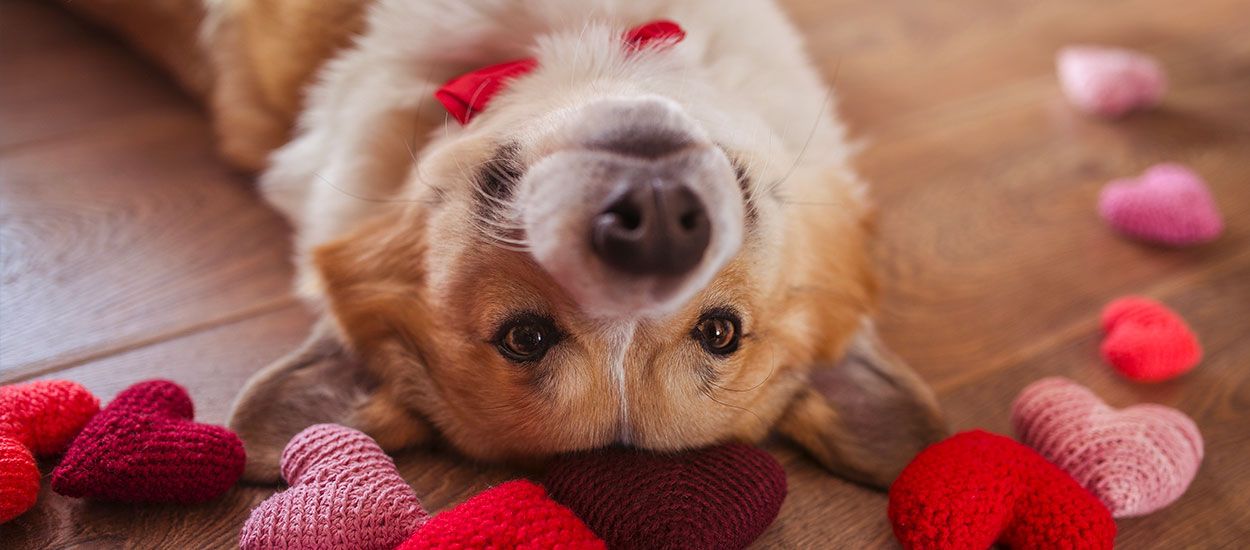 10 idées de cadeaux à moins de 40 euros à offrir à votre moitié pour la Saint-Valentin