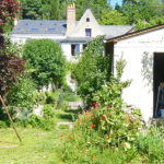 un jardin oasis de biodiversité maison de ville