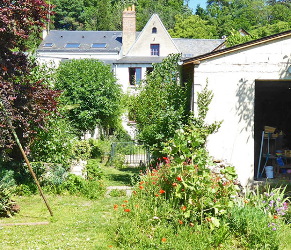 5 conseils pratiques pour faire de son jardin une oasis de biodiversité