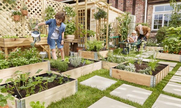 Comment arroser son jardin de manière éco-responsable ?