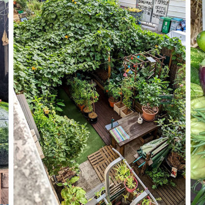 Avec son micro-potager urbain 100% écolo, il a récolté plus de 300 kilos de fruits et légumes !