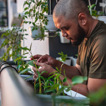 Existe-t-il une loi pour installer un potager et des jardinières sur son balcon ?