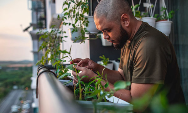 Existe-t-il une loi pour installer un potager et des jardinières sur son balcon ?