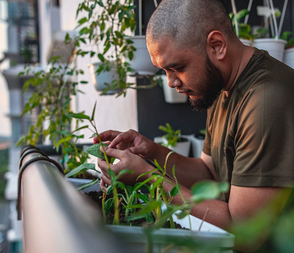 Existe-t-il une loi pour installer un potager et des jardinières sur son balcon ?