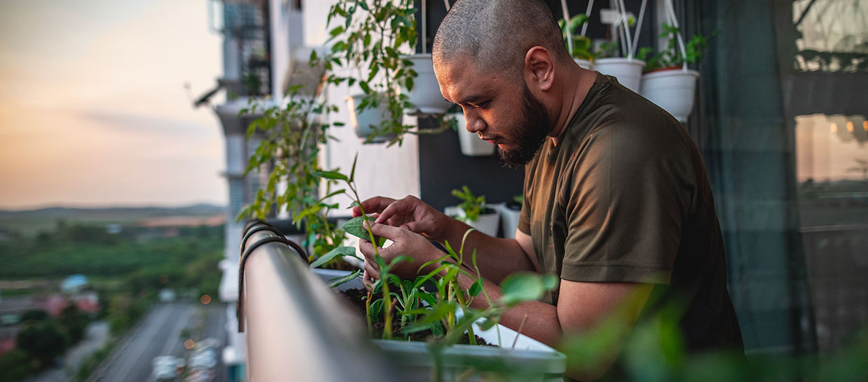 Existe-t-il une loi pour installer un potager et des jardinières sur son balcon ?