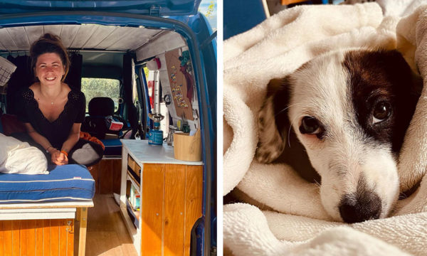 Cette vanlifeuse se lance dans un road trip pour la protection des animaux