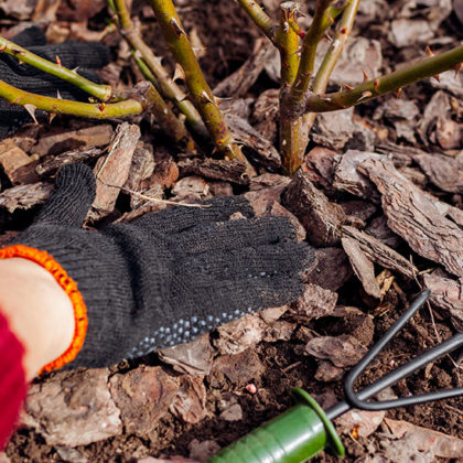 5 outils et produits pour réussir son paillage