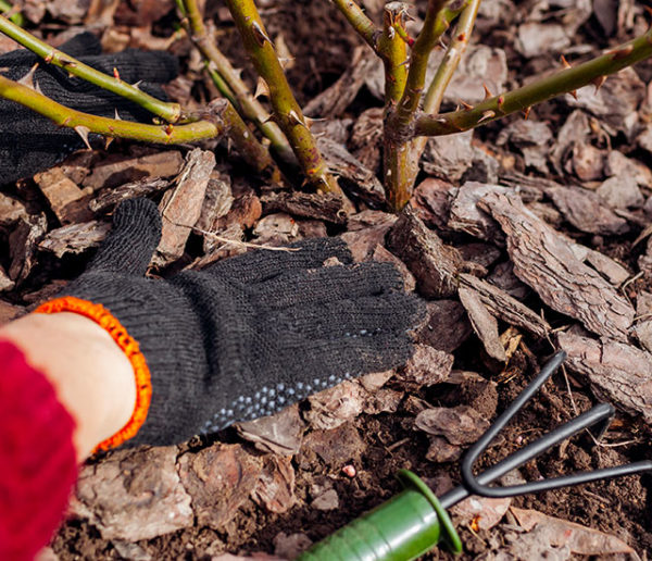 5 outils et produits pour réussir son paillage