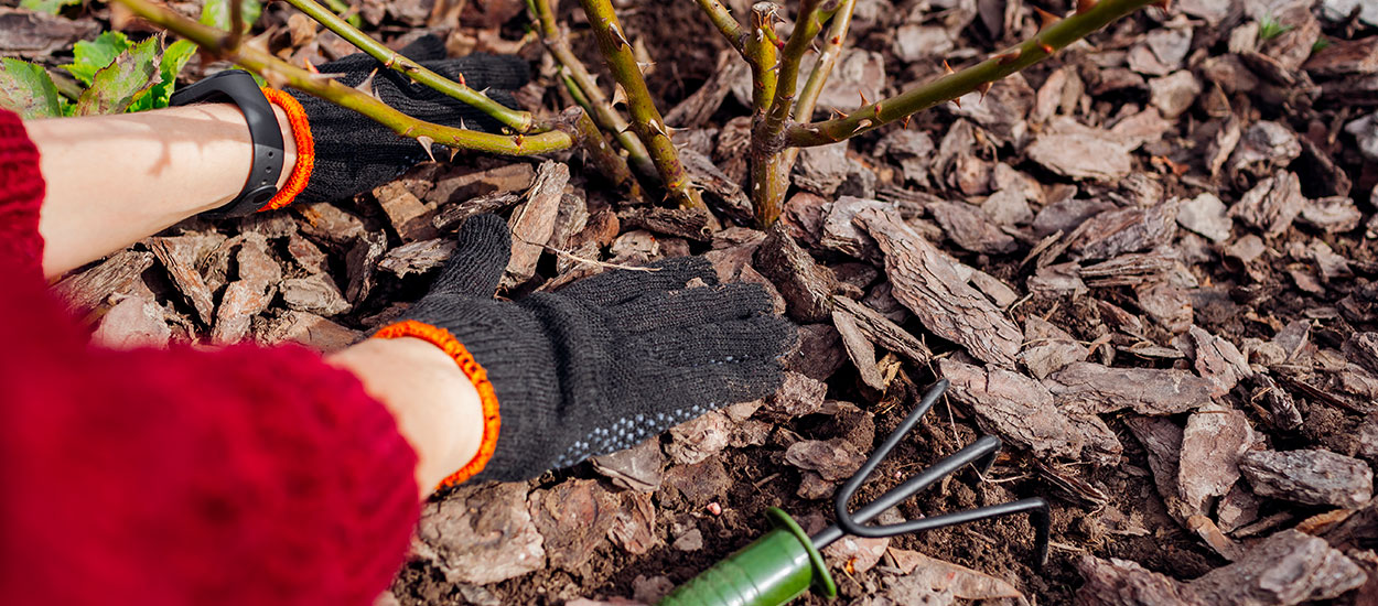 5 outils et produits pour réussir son paillage