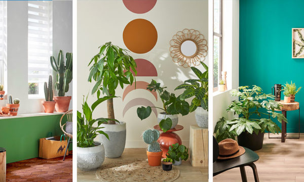 Invitez l'extérieur à l'intérieur en adoptant une déco exotique, naturelle et végétalisée !