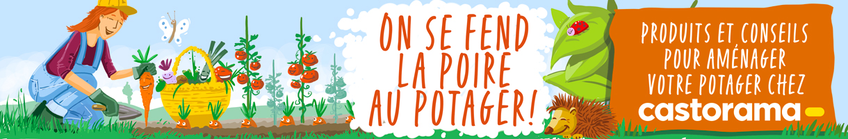 banniere article mobile