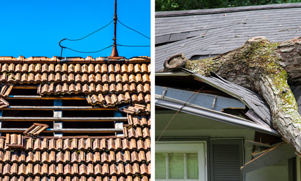 Tempêtes et vents forts : quelles précautions à prendre pour protéger sa maison et son jardin ?