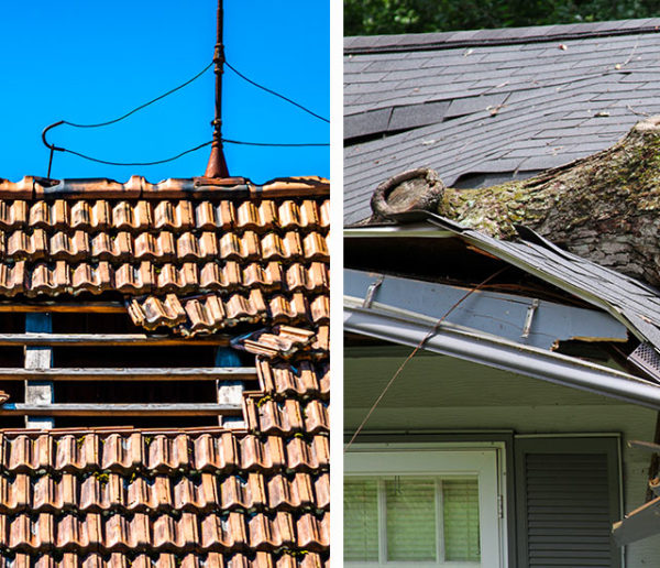 Check-list pour protéger sa maison et son jardin des tempêtes