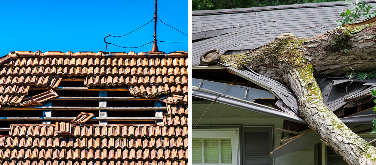 Check-list pour protéger sa maison et son jardin des tempêtes