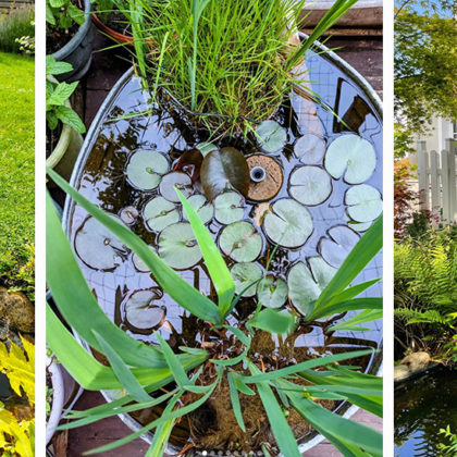 6 inspirations pour aménager une mare ou un bassin dans son jardin