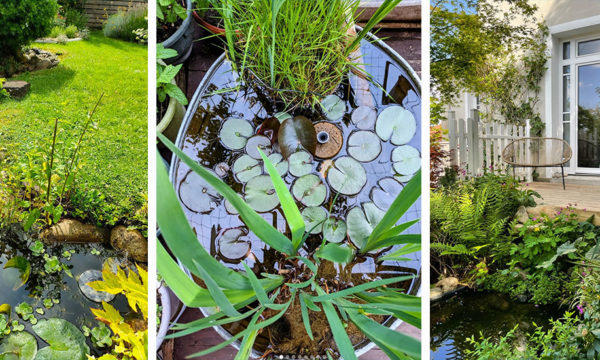 6 inspirations pour aménager une mare ou un bassin dans son jardin