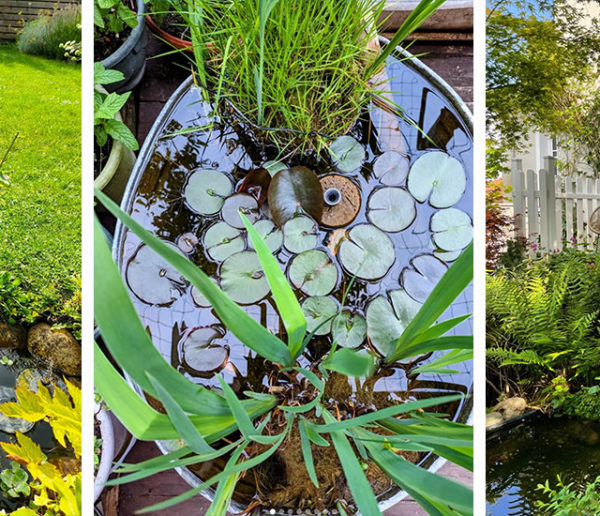 6 inspirations pour aménager une mare ou un bassin dans son jardin