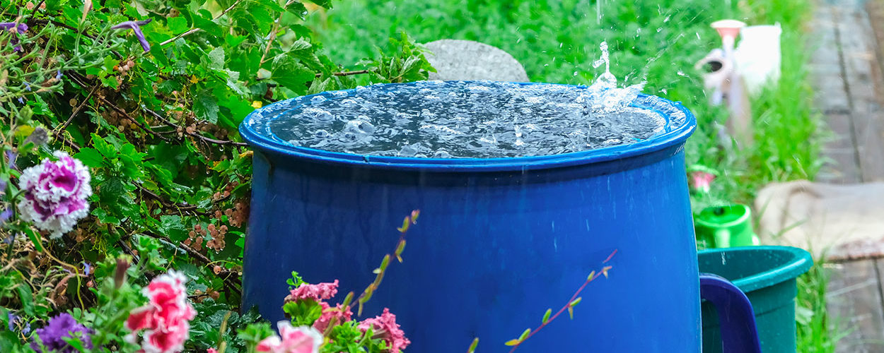 Existe-t-il des aides financières pour installer un récupérateur d'eau de pluie ?